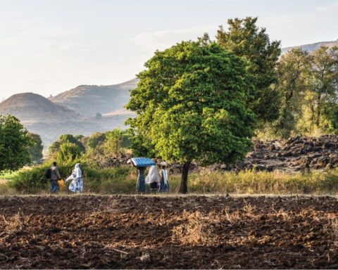 Ethiopia's ecological statecraft