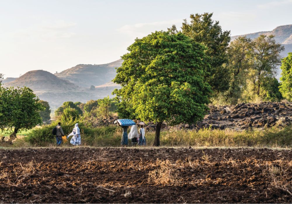 Ethiopia's ecological statecraft