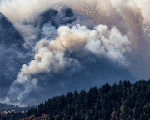 Wildfire in British Columbia