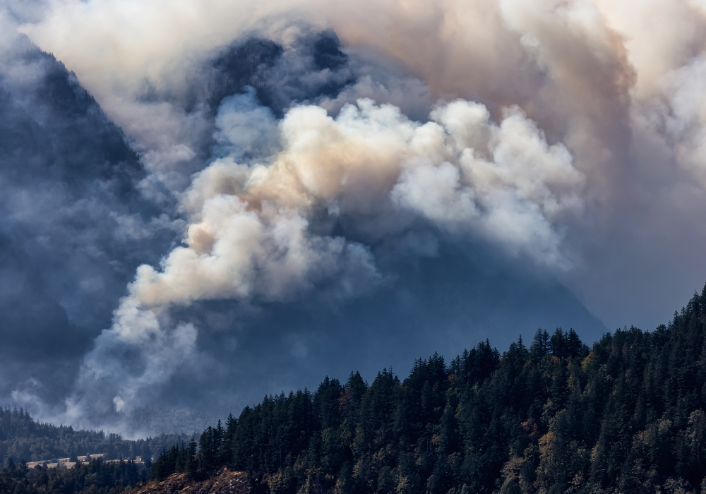 Wildfire in British Columbia