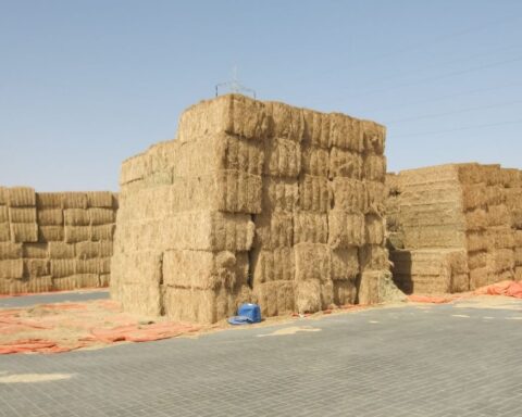 straw bales