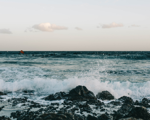 Publisher's note by Corporate Knights co-founder and CEO Toby Heaps