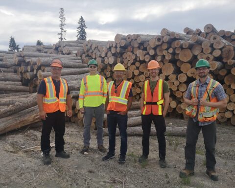 Five men wearing hardhats and safety vests standing in front of stacked cedar logs
