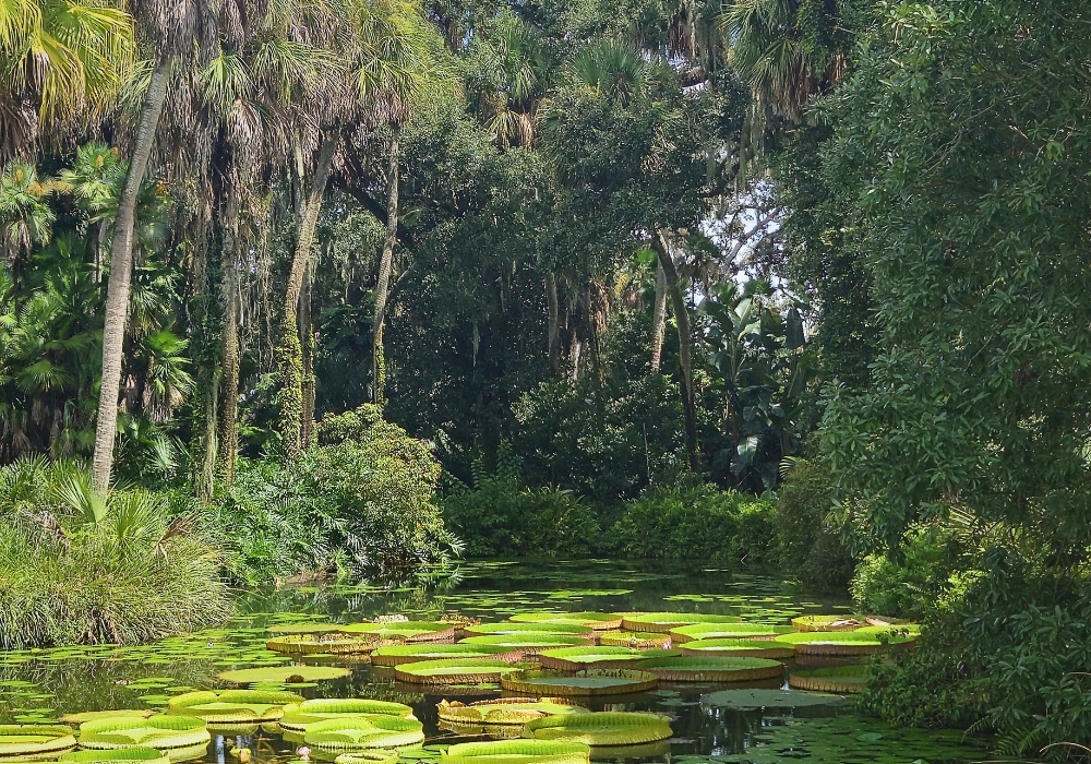 "When I was a kid, David Suzuki’s The Nature of Things ran an episode on the decimation of the Amazon rainforest that filled me with wonder and a burning need to do something," writes Toby Heaps.
