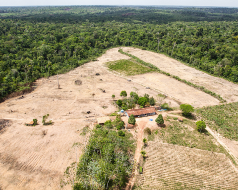 Biodiversity loss could push countries into deeper debt