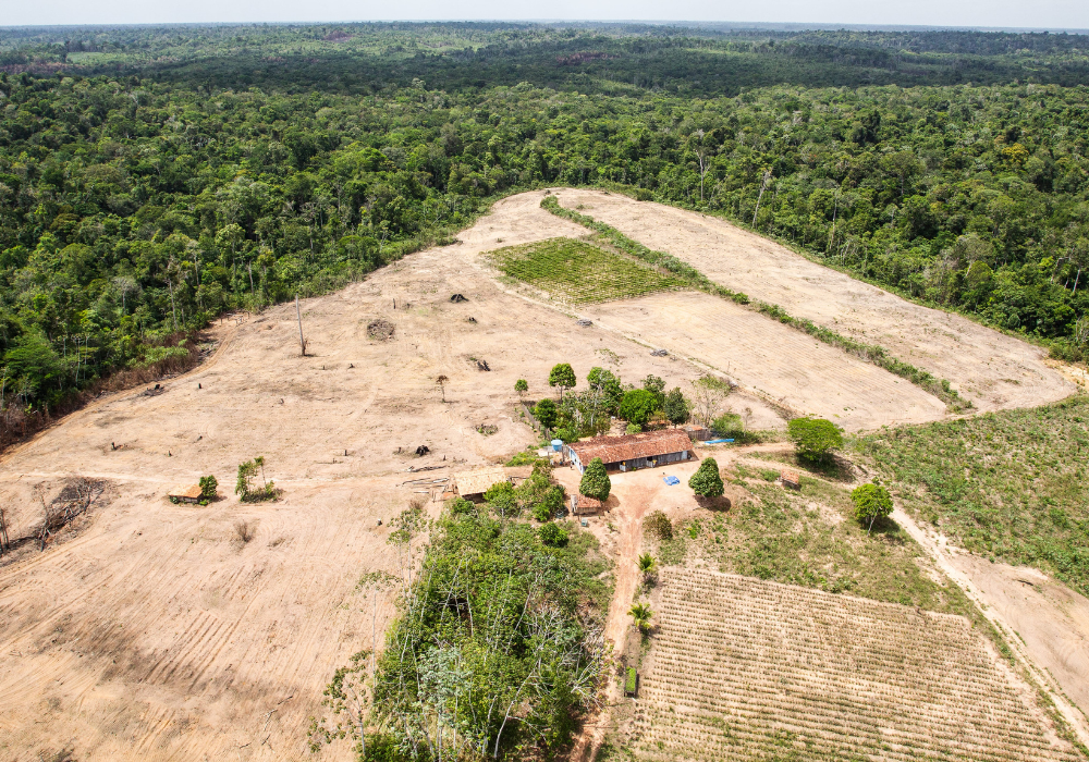 Biodiversity loss could push countries into deeper debt