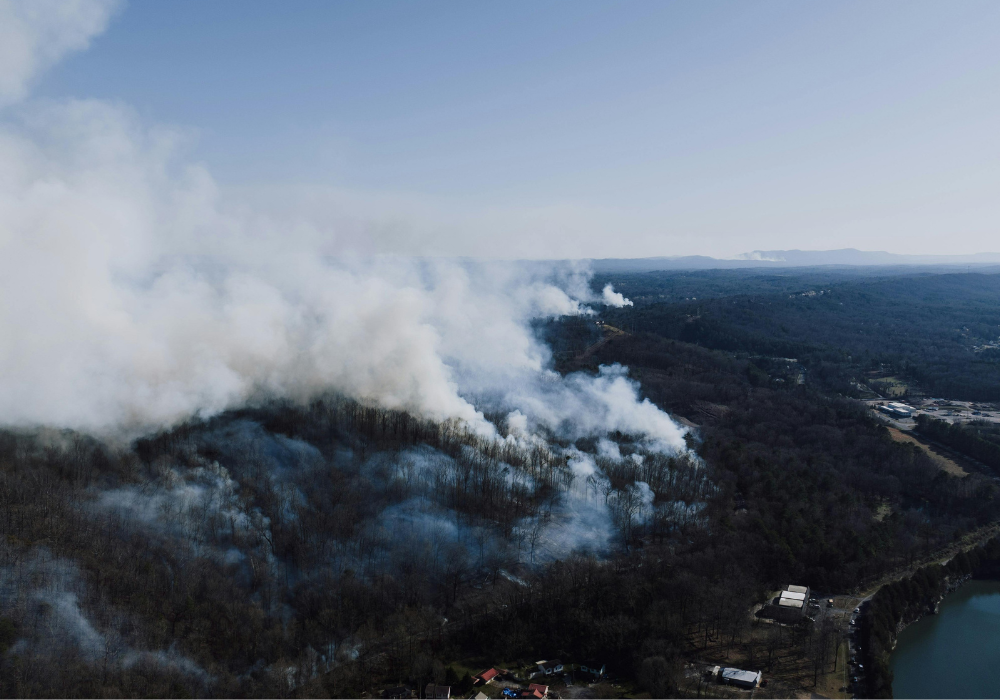 Wildfires are major sources of carbon pollution